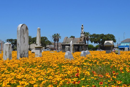 Tour image 5