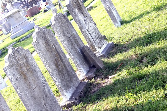 Tour image 7